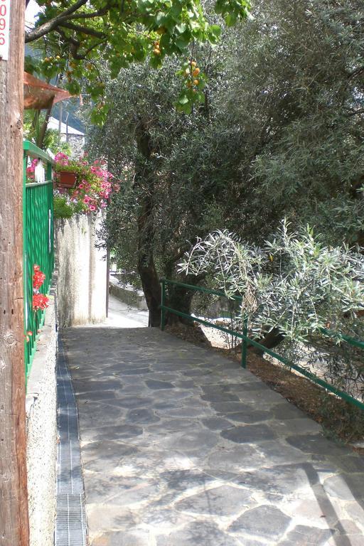 Vila Casa Canepa Sori Exteriér fotografie